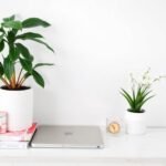 High-Income Health Blog Niches Every Beginner Should Try